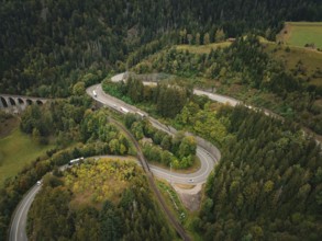 Winding road through wooded area, Ravenna Gorge, Black Forest, Germany, Europe
