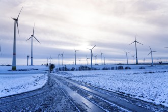 Wind farm, north of Lichtenau, self-proclaimed energy town, over 190 wind turbines and over 1200
