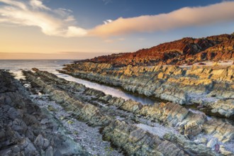 Colourful rocks on the coast, Varanger, Barents Sea, Finnmark, Norway, Europe