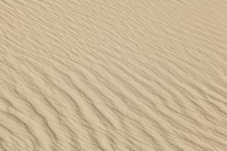 Close-up of sandy dunes with wave-like patterns and a warm, beige colour scheme, Sankt