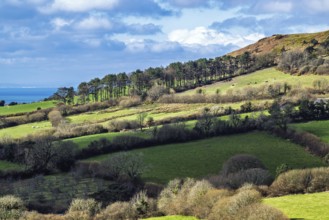 Farms over Dorset, England, farmland