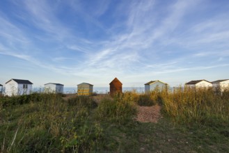 Colourful beach huts on a shingle beach, Cirrus, Kingsdown Beach, English Channel, Dover, Kent,