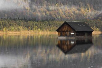 A boatshelter at lake Almsee. The forest in the background in full fall foliage and some fog above