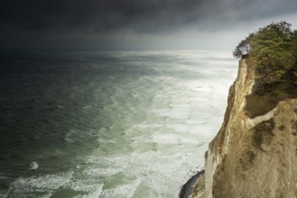 View of the chalk cliffs of Møns Klint on the Baltic Sea in autumn, dark clouds over the stormy