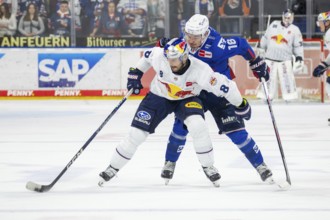 DEL, German Ice Hockey League season 2024/25, Matchday 22: Adler Mannheim vs Red Bull Munich.