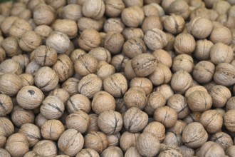 Walnuts (Juglans) at a vegetable stand, Bavaria, Germany, Europe