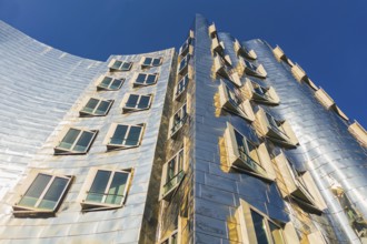 Building, Frank O. Gehry, Media Harbour, Harbour, Düsseldorf, North Rhine-Westphalia, Germany,