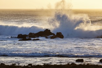 Rocky west coast, black lava coast, coastline, surf at sunset, El Golfo, Yaiza, Lanzarote, Spain,