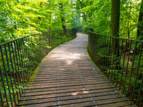 Curved bridge in the Felsenmeer nature reserve, near Hemer in the Sauerland region