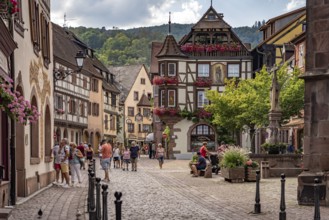 Half-timbered houses in the historic old town of Kaysersberg, Alsace, France, Europe