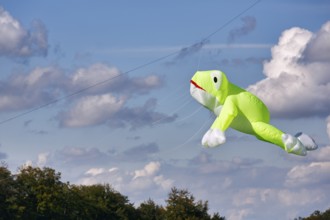 Kite flying in the sky, frog, kite festival in Vinsebeck, Cumulus, Steinheim, Eggegebirge and