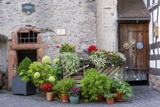 Colourful flowers in flower pots at the entrance to the witches' tower, dungeon, dungeon, torture