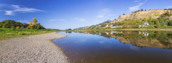 On the Elbe near Meißen opposite Karpfenschänke, Meißen, Saxon Elbland, Saxony, Germany, Europe