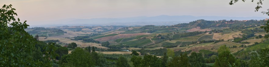 Typical viw of the Tuscan landscape in Val d'Orcia with hills, trees, fields, cypresses and farm