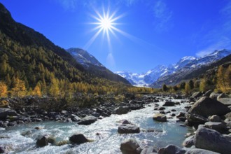 Mountain stream, larch forest, Piz Palü, 3905 m, Piz Bernina, 4049 m, Biancograt, Morteratsch
