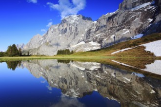 Wellhorn and Engelhörner, mountain lake, Grosse Scheidegg, Bernese Oberland, Switzerland, Europe