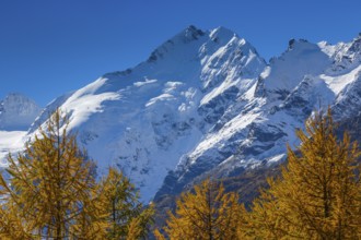 Piz Bernina, 4049 m, Bianco ridge, Upper Engadine, Grisons, Switzerland, Europe