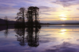 Loch Mallachie, Cairngorms National Park, Scotland, United Kingdom, Europe