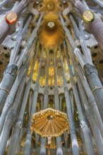 Interior of the Familia Sagrada, religion, Christianity, by the architect Antonio Gaudi in