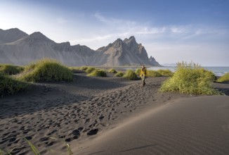 Tourist on a sand dune, Black beach with volcanic sand, Sand beach, Dunes with grass, Stokksnes