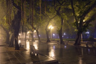 Guangzhou People's Park with mist fog at night. Guangzhou, China, Asia