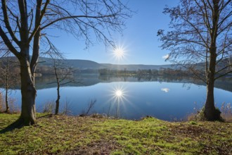 Lake with trees at sunrise, Freudenberg am Main, Untermain, Spessart, Odenwald, Franconia,