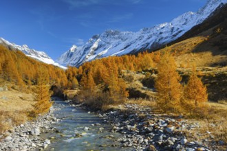 River Lonza with Aletschhorn and Schinhorn, Valais, Switzerland, Lötschenlücke, Lötschenlücke,