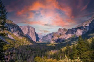 Tunnel View Overlook in a gorgeous summer sunrise, Yosemite National Park, California. United