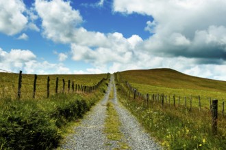 Path in Cezallier plateau, Auvergne volcanoes regional natural park, Puy de Dome department,
