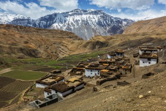 Comic village in Himalayas. Spiti Valley, Himachal Pradesh, India, Asia