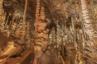 The Aven Armand chasm 100 meters underground where the largest known stalagmite in the world is 30