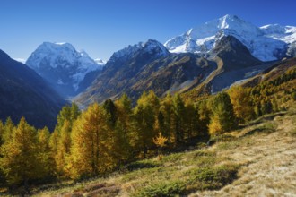 Mt Collon, Pigne d'Arolla, Arollatal, Valais Switzerland