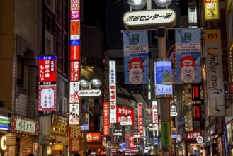 Illuminated advertising, Shibuya district, Tokyo, Japan, Asia