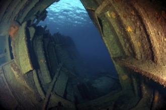 View through rusting hull of rusty shipwreck Elviscot, Mediterranean Sea, Elba, Tuscany, Italy,