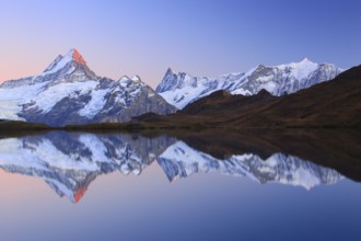 Bachalpsee, Schreckhorn, 4078 m, Finsteraarhorn, 4274 m, Bernese Oberland, Switzerland,