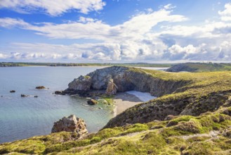 Awesome view at a rocky coastline with a sea bay and heath landscape a sunny summer day, Crozon