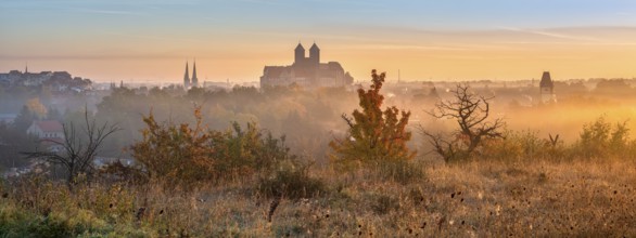 Panorama of Quedlinburg at sunrise, view of the castle hill with the collegiate church of St.