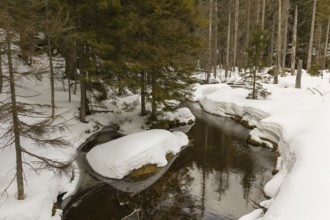 Lake Grosser Arbersee in late winter. The lake and the adjacent forest are snow covered. Germany,