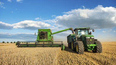 Combine harvester harvesting wheat and unloading grain onto tractor with trailer, endless