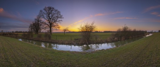 View over a ditch to non-leafy trees in the sunset, Panorama, Kirchlinteln, Verden, Aller Leine