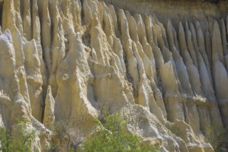 Detail of the sandstone cliffs of Les Orgues Ille-sur-Têt, Centre Ville Nord-Ouest, Département