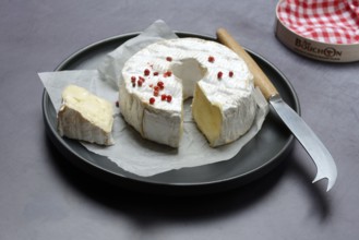 French soft cheese on plate with cheese knife, France, Europe