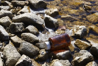 Environmental pollution, Plastic bottle washed up on the lake shore, Household waste, Austria,
