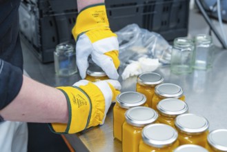 Filling orange liquid into jars, several filled jars on site, jam production, Haselstaller Hof,