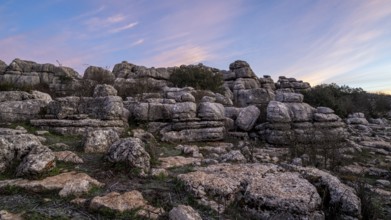 Bizarre limestone rock formations, El Torcal nature reserve, Torcal de Antequera, Malaga province,