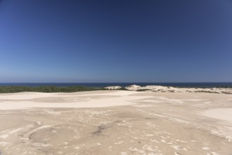 Lacka Dune on a sunny day with a blue sky in the Slowinski National Park, northern Poland on the