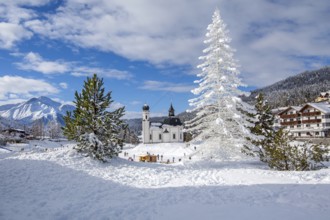 Seekirchl with artificial winter fir tree and Hocheder 2797m in winter, Seefeld, Seefeld Plateau,