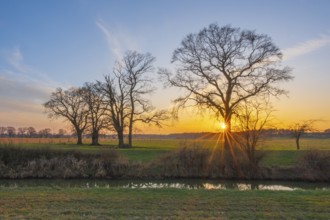 View across a ditch to the silhouettes of non-leafy trees at sunset, Kirchlinteln, Verden, Aller