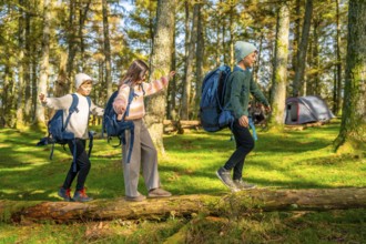 Three young caucasian brothers and sister walking playfully maintaining the balance on a tree trunk