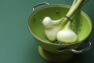 Onion, spring onions in sieve pot